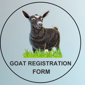 Registration Form