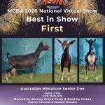Best in Show First Place MGBA Virtual Show 2020